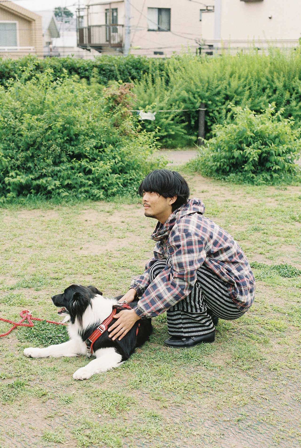 Nyssaちゃんについて飼い主に話を聞く高橋響。