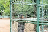 羽根木公園にて、草野球を眺める高橋響。