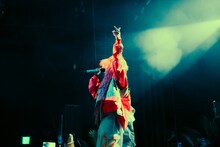 カメレオン・ライム・ウーピーパイ「ONE-MAN LIVE 2025 "WHOOPIE in the JUNGLE"」東京公演の様子。（Photo by Ray Otabe）