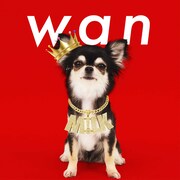 もふもふM!LKが踊る「wan」リリース！「イイじゃん」に続く予想裏切りソング