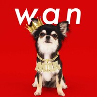 M!LK「wan」ジャケット