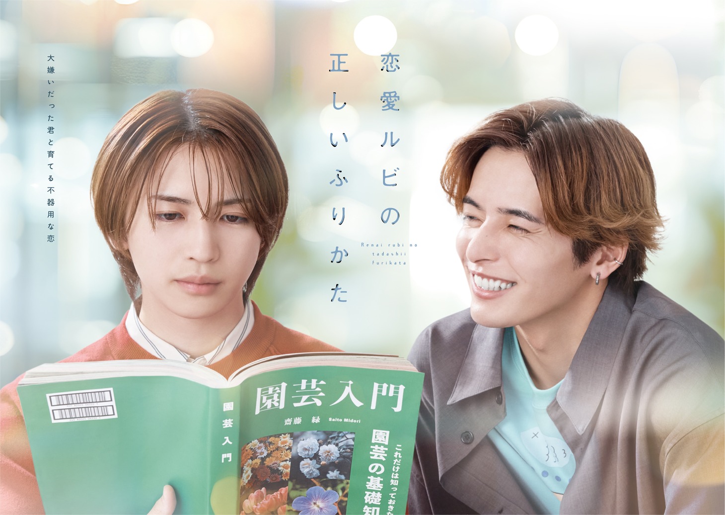 「恋愛ルビの正しいふりかた」キービジュアル©おげれつたなか・新書館 / TOKYO MX