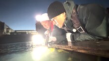 “DASH海岸”で生き物を探す城島茂（左）、森本慎太郎（右）。©日本テレビ