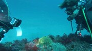 潜水調査の様子。©日本テレビ