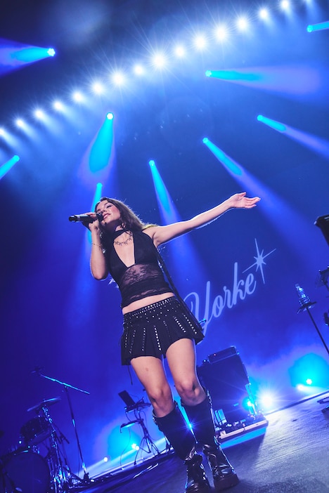 ヨーク(撮影:鳥居)