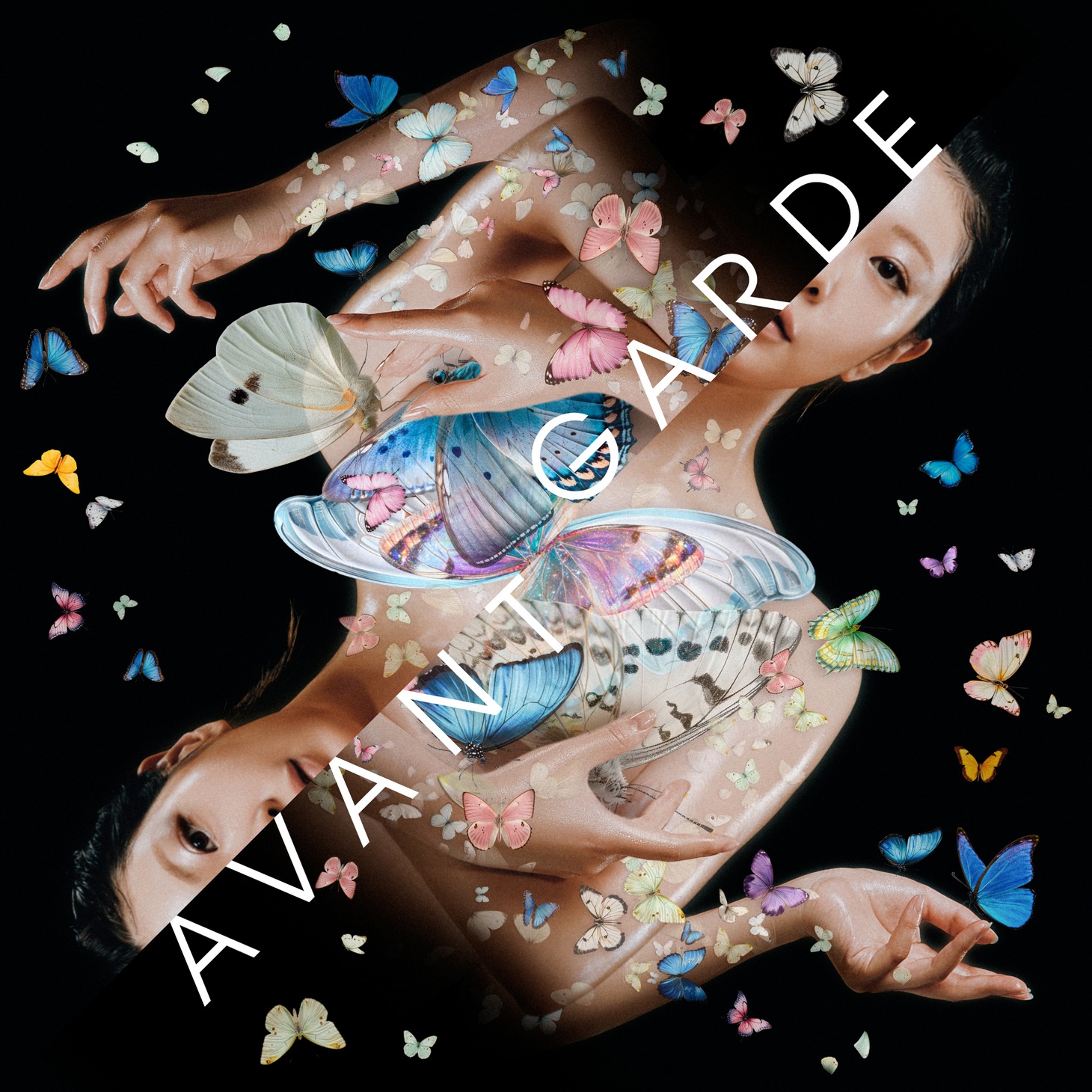 Little Black Dress「AVANTGARDE」ジャケット