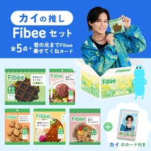 カイの推しFibeeセット。