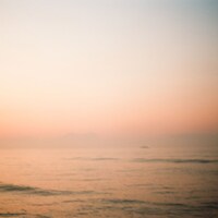 グソクムズ「hand / 手のひら」配信ジャケット