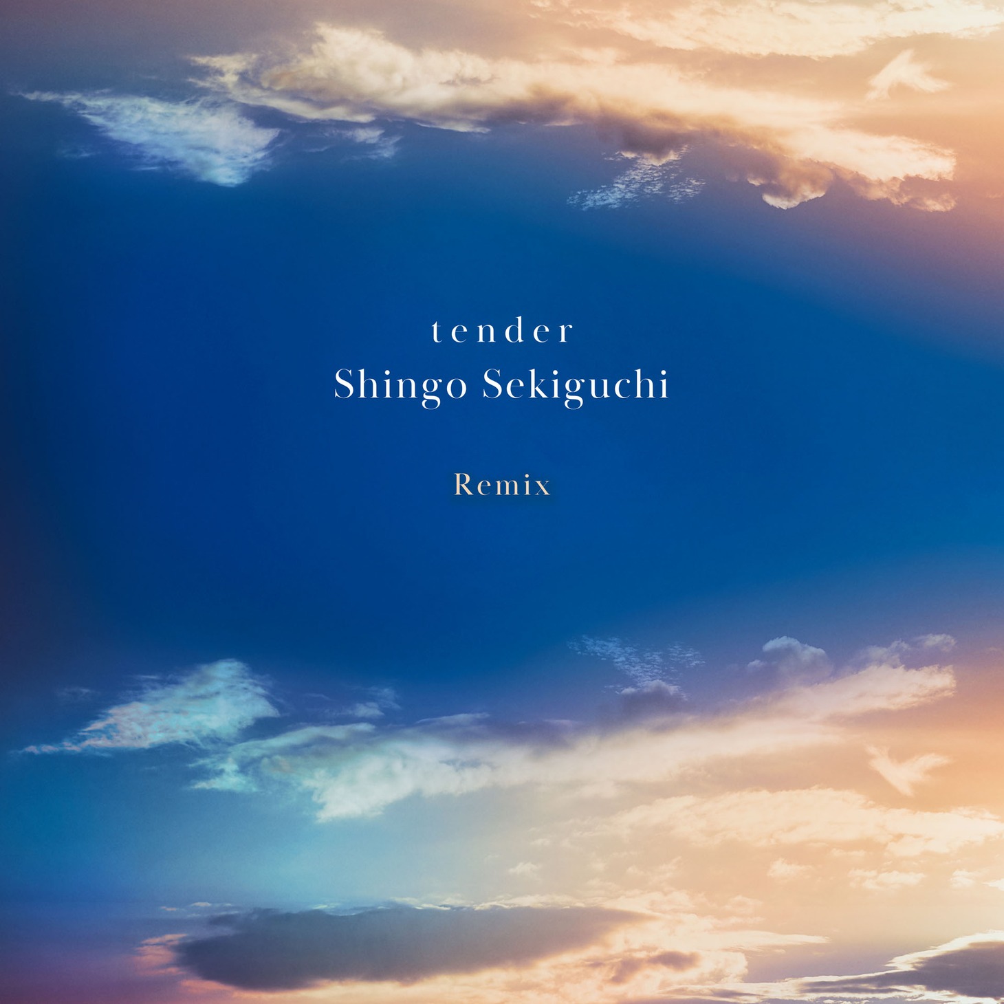関口シンゴ「tender Remix」ジャケット