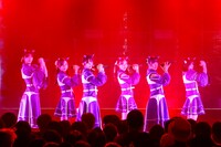 「Devil ANTHEM. ONE MAN LIVE 2025～early summer～『R-Completion』」の様子。（撮影：笹森健一）