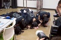 終演後のyosugala。