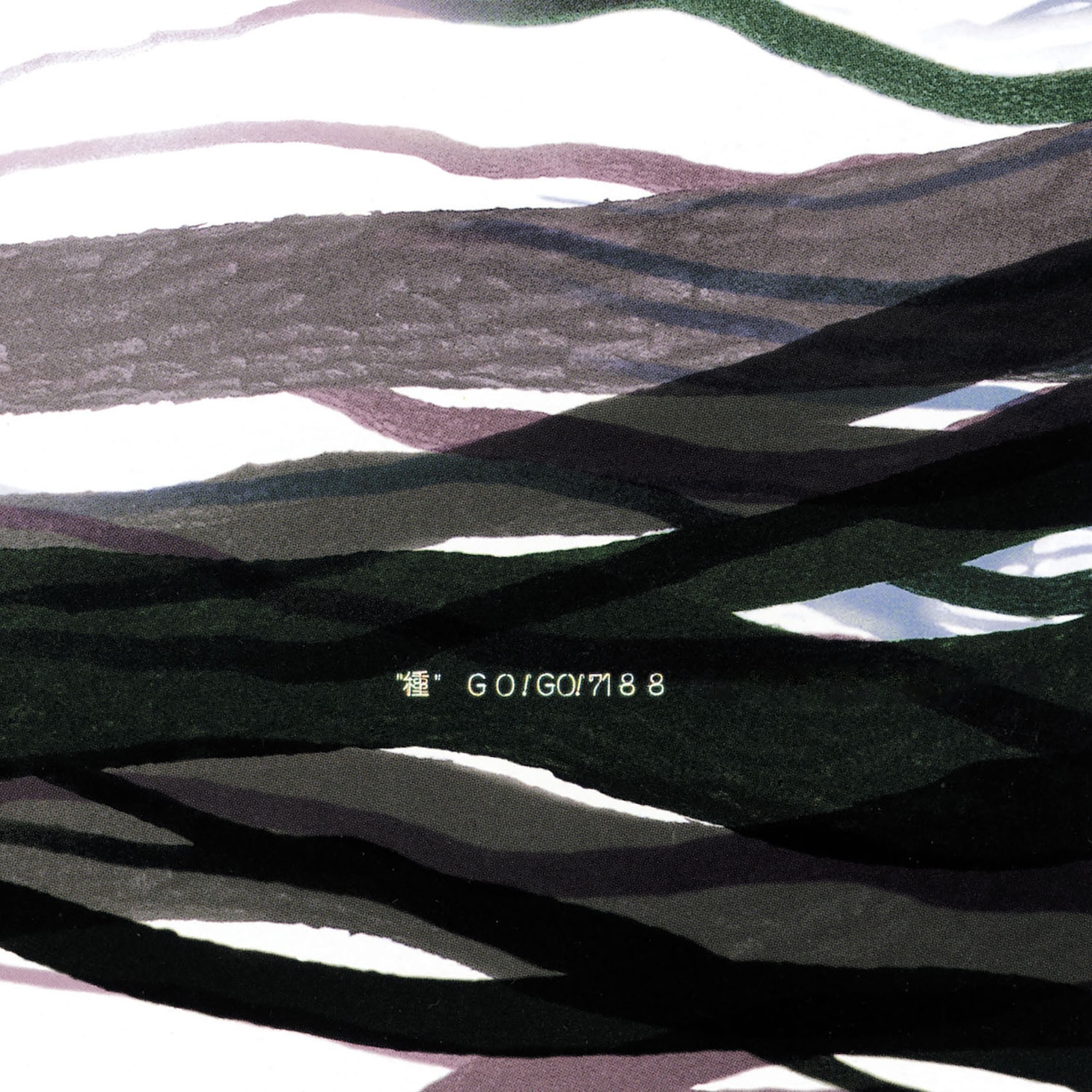 GO!GO!7188「種」　ジャケット