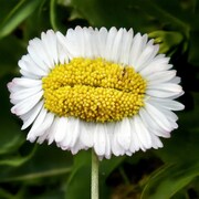 「恐怖心展」展示作品のイメージ。©︎2025「恐怖心展」実行委員会