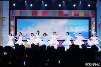 かすみ草とステラ