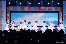 かすみ草とステラ