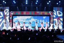 かすみ草とステラ