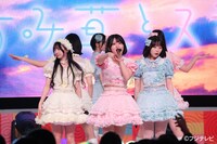 かすみ草とステラ