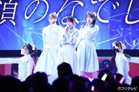 高嶺のなでしこ