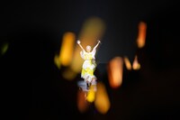 スポットライトを浴びて登場した小林歌穂。