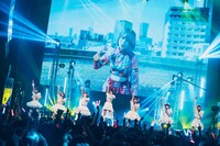 「UtaGe! 6th One Man Live『-極宴-』」の様子。（撮影：真島洸）