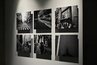大森元貴（Mrs. GREEN APPLE）が手がけた写真作品群「僕が居ようが居まいが」より。
