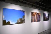 大森元貴（Mrs. GREEN APPLE）が手がけた写真作品群「僕が居ようが居まいが」より。