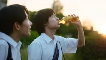 Snow Man目黒蓮と中条あやみ出演の「午後の紅茶」新CM「夏の影」編より。