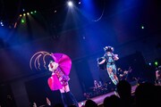 チャラン・ポ・ランタン「RANTAN-CIRCUS 2025」の様子。（Photo by Masayo）