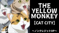 「ニャイト・オブ・ザ・リビングキャット」ノンクレジットOPサムネイル画像