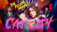 THE YELLOW MONKEY「CAT CITY」MVサムネイル