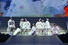 いぎなり東北産「TOHOKU9」の様子。