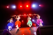 TEAM SHACHI