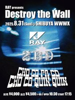 「RAY presents『Destroy the Wall』」フライヤー