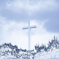 文藝天国「μεταμορπηοςε」ジャケット