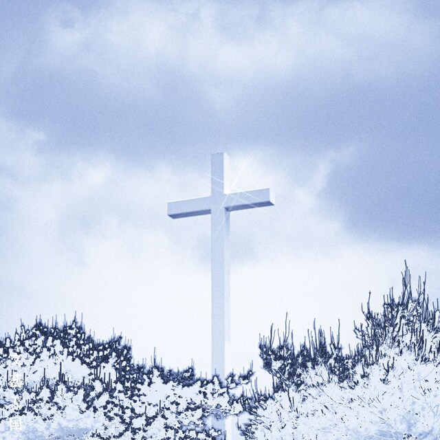 文藝天国「μεταμορπηοςε」ジャケット