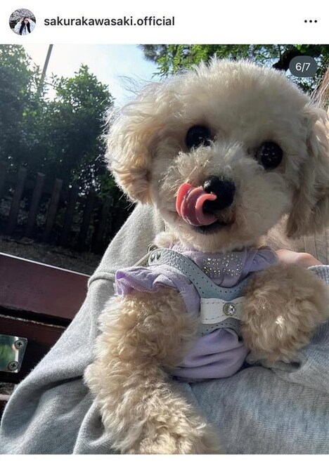 川崎桜が自身のスマホフォルダから選んだお気に入りの1枚。川崎桜のInstagram公式アカウントより。