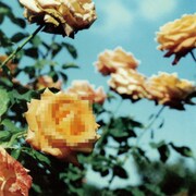 globe「Relation」ジャケット