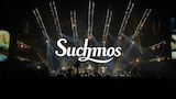 Suchmos「Whole of Flower」ライブ映像より。