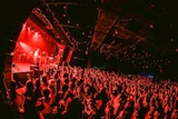 「れん ONEMAN LIVE TOUR 2025 -Molt-」東京・LIQUIDROOM公演より。(撮影:森好弘)