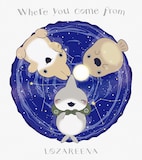 ロザリーナ「where you come from」ジャケット