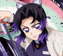 Aimer「太陽が昇らない世界」初回限定盤ジャケット