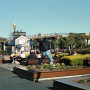 サニーデイ・サービス「サニービート」配信ジャケット