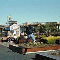 サニーデイ・サービス「サニービート」配信ジャケット