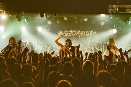 東京初期衝動がメジャーデビュー！ニューアルバムに盟友・北澤ゆうほ参加