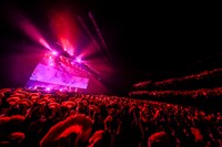 女王蜂 単独公演「強火」の様子。（撮影：森好弘）