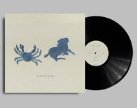 soraya「soraya」アナログ盤のパッケージ。