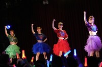 TEAM SHACHI「H.I.P. ORIGINAL SERIES ラストライブハウス（決）～君への想い感謝感激～」の様子。