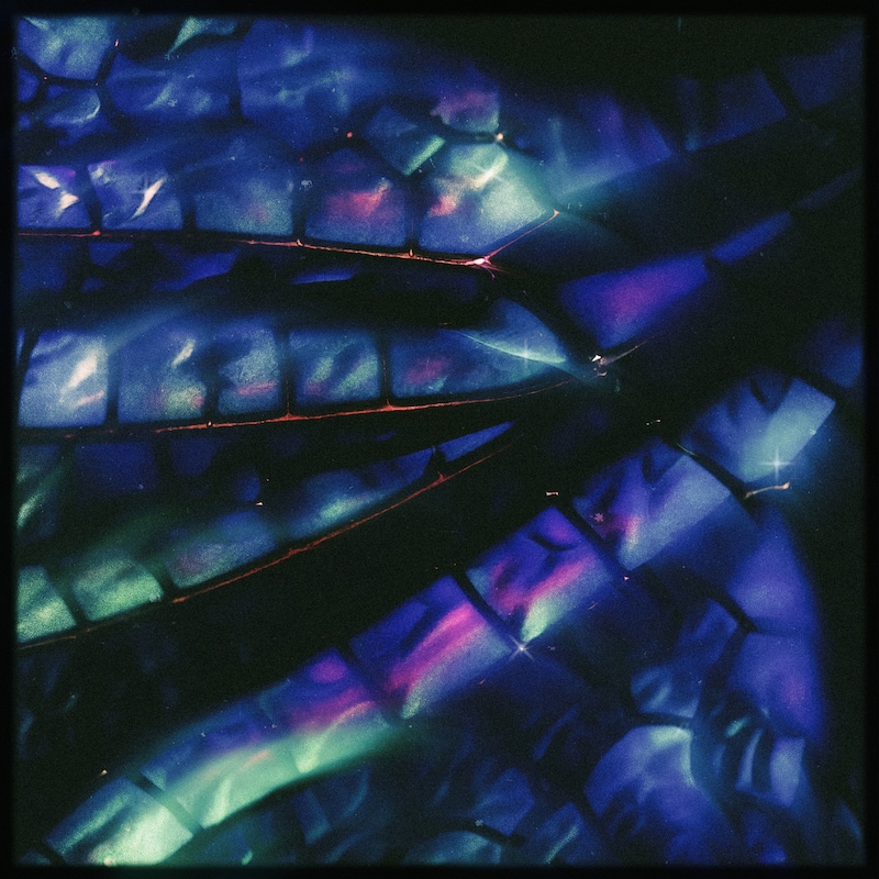 勢喜遊 & Yohji Igarashi「Tombo feat.Daichi Yamamoto」配信ジャケット