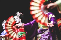 宮川町舞妓・芸妓