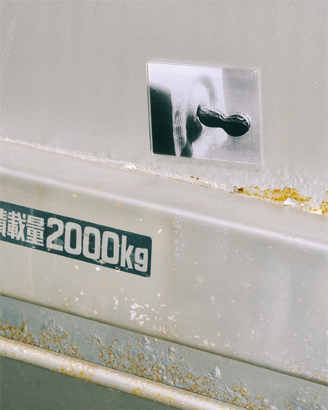 TVP MAGNET